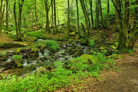 Villa a Bugeat, Correze, Bugeat - € 337.600 | Ref: 9556A - foto 42