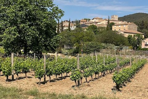 Rækkehus i Caussiniojouls, Herault, Caussiniojouls - € 128.000 | Ref: 9699A - foto 21