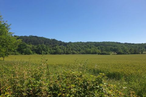 Villa a Mirepoix, Ariege, Mirepoix - € 925.000 | Ref: 9727A - foto 18