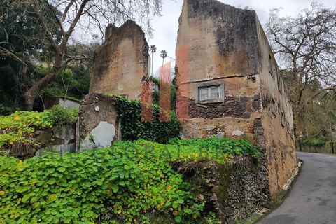 Helårsgrund i Sintra, Lisbon, Sintra - € 699.000 | Ref: 129202600413 - foto 1