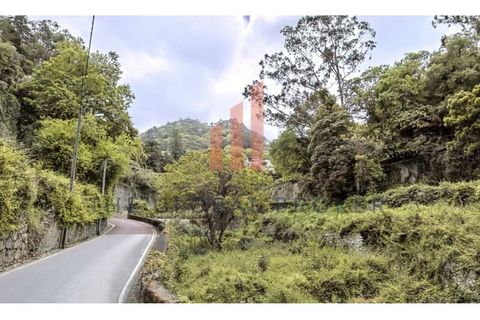Helårsgrund i Sintra, Lisbon, Sintra - € 699.000 | Ref: 129202600413 - foto 2