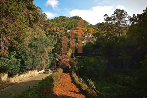 Helårsgrund i Sintra, Lisbon, Sintra - € 699.000 | Ref: 129202600413 - foto 4