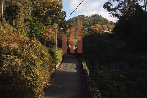 Helårsgrund i Sintra, Lisbon, Sintra - € 699.000 | Ref: 129202600413 - foto 7