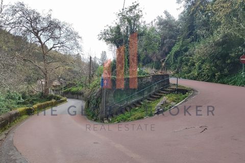 Helårsgrund i Sintra, Lisbon, Sintra - € 699.000 | Ref: 129202600413 - foto 10