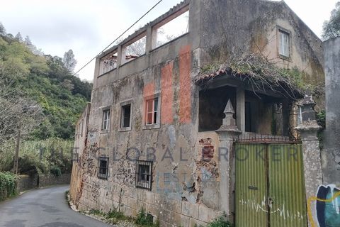 Helårsgrund i Sintra, Lisbon, Sintra - € 699.000 | Ref: 129202600413 - foto 11