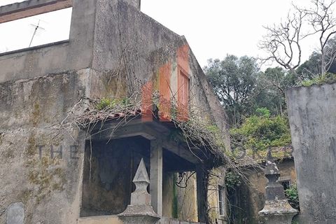 Helårsgrund i Sintra, Lisbon, Sintra - € 699.000 | Ref: 129202600413 - foto 13