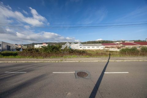 Helårsgrund i Valongo, Porto, Valongo - € 350.000 | Ref: MM184/26VLG/CS - foto 8