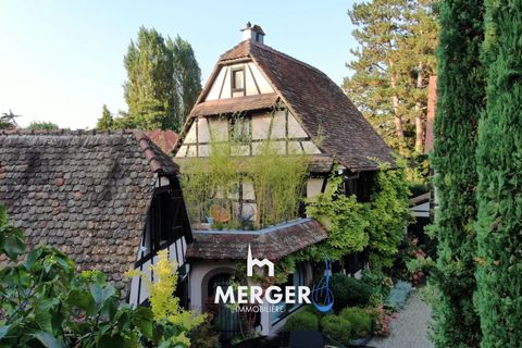 Villa i Strasbourg, Bas-Rhin, Strasbourg - € 1.950.000 | Ref: 638/26 - foto 16