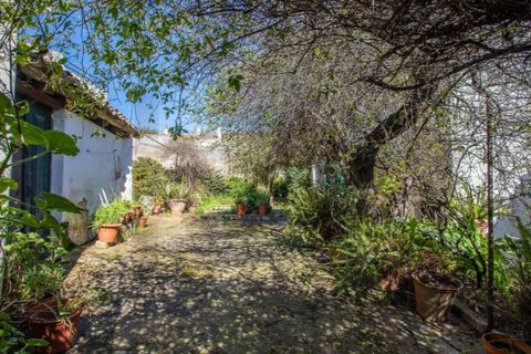 Villa a Aljustrel, Beja, Aljustrel - € 440.000 | Ref: KWPT-029861 - foto 16