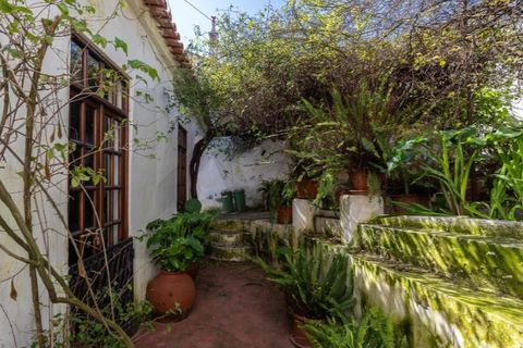 Villa a Aljustrel, Beja, Aljustrel - € 440.000 | Ref: KWPT-029861 - foto 22