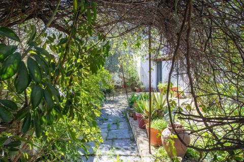 Villa a Aljustrel, Beja, Aljustrel - € 440.000 | Ref: KWPT-029861 - foto 40
