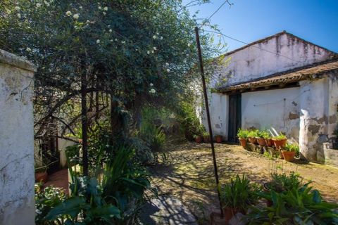 Villa a Aljustrel, Beja, Aljustrel - € 440.000 | Ref: KWPT-029861 - foto 43
