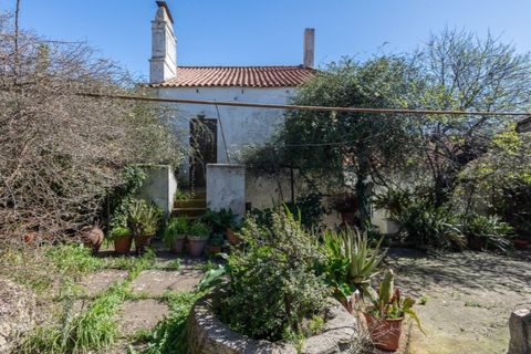 Villa a Aljustrel, Beja, Aljustrel - € 440.000 | Ref: KWPT-029861 - foto 44