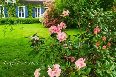 Villa a Samer, Pas-de-Calais, Samer - € 780.000 | Ref: 340938239153 - foto 2