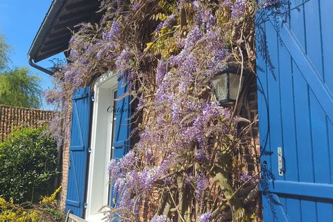 Villa a Samer, Pas-de-Calais, Samer - € 780.000 | Ref: 340938239153 - foto 29