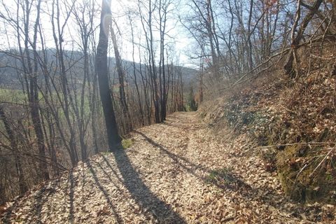 Villa a Zocca, Modena, Zocca - € 126.000 | Ref: 3153 - foto 43