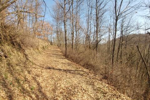 Villa a Zocca, Modena, Zocca - € 126.000 | Ref: 3153 - foto 44