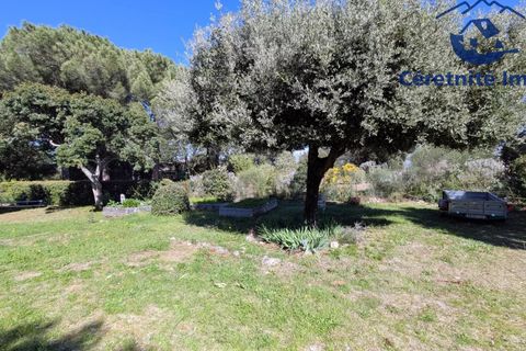 Villa a Ceret, Pyrenees-Orientales, Ceret - € 595.000 | Ref: 1162 - foto 23