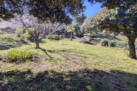 Villa a Ceret, Pyrenees-Orientales, Ceret - € 595.000 | Ref: 1162 - foto 27