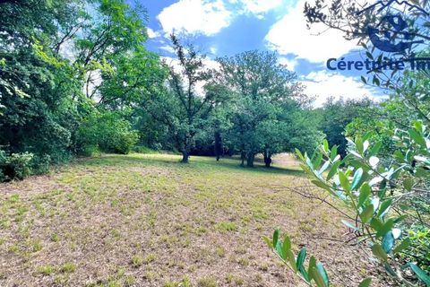 Villa i Reynès, Pyrenees-Orientales, Reynès - € 748.000 | Ref: 1159 - foto 31
