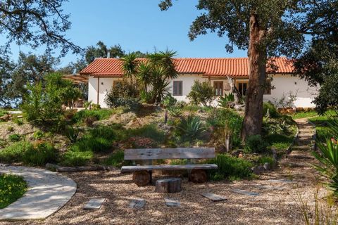 Villa a Odemira, Beja, Odemira - € 1.100.000 | Ref: Qt-1004 - foto 4
