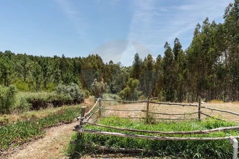 Villa i Odemira, Beja, Odemira - € 645.000 | Ref: Qt-914 - foto 29
