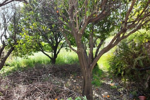 Villa i Castelo Branco, Castelo Branco, Castelo Branco - € 169.000 | Ref: C0434-01239 - foto 26