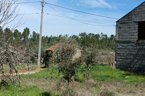 Helårsgrund i Castelo Branco, Castelo Branco, Castelo Branco - € 37.500 | Ref: C0434-01244 - foto 7