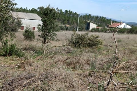 Helårsgrund i Castelo Branco, Castelo Branco, Castelo Branco - € 37.500 | Ref: C0434-01244 - foto 14
