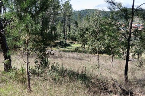 Helårsgrund i Castelo Branco, Castelo Branco, Castelo Branco - € 37.500 | Ref: C0434-01244 - foto 15