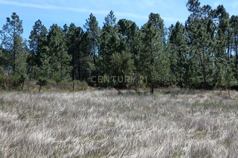 Helårsgrund i Castelo Branco, Castelo Branco, Castelo Branco - € 37.500 | Ref: C0434-01244 - foto 21