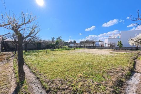 Villa i Viseu, Viseu, Viseu - € 450.000 | Ref: C0203-02613 - foto 20