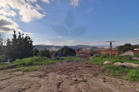 Landejendom i Braga, Braga, Braga - € 165.000 | Ref: 013-4327 - foto 3