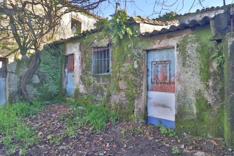 Landejendom i Braga, Braga, Braga - € 165.000 | Ref: 013-4327 - foto 9