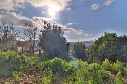 Landejendom i Braga, Braga, Braga - € 165.000 | Ref: 013-4327 - foto 15