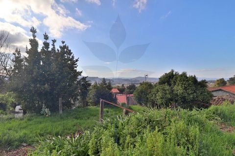 Landejendom i Braga, Braga, Braga - € 165.000 | Ref: 013-4327 - foto 18