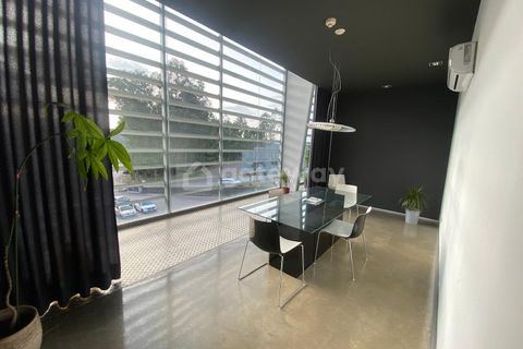 Erhvervsejendom i Trofa, Porto, Trofa - € 1.850.000 | Ref: MAG_99 - foto 6