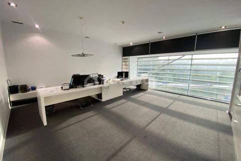 Erhvervsejendom i Trofa, Porto, Trofa - € 1.850.000 | Ref: MAG_99 - foto 20