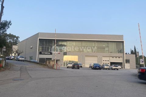 Erhvervsejendom i Trofa, Porto, Trofa - € 1.850.000 | Ref: MAG_99 - foto 41