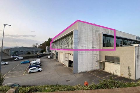 Erhvervsejendom i Trofa, Porto, Trofa - € 1.850.000 | Ref: MAG_99 - foto 43