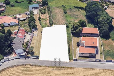 Terra a Grijo, Porto, Grijo - € 95.000 | Ref: TER_102.Mi.001 - foto 2