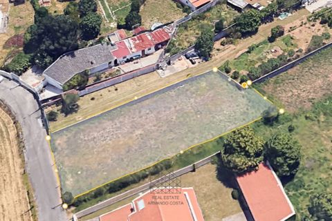 Terra a Grijo, Porto, Grijo - € 95.000 | Ref: TER_102.Mi.001 - foto 5