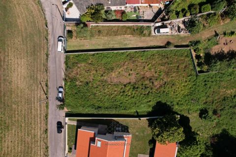Terra a Grijo, Porto, Grijo - € 95.000 | Ref: TER_102.Mi.001 - foto 3