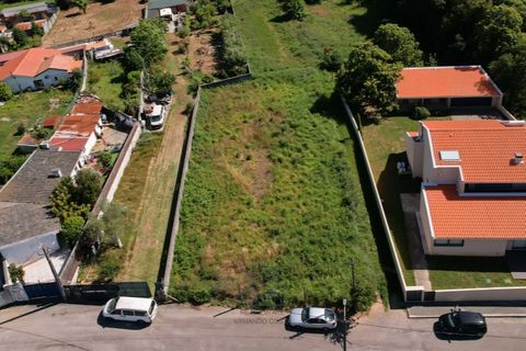 Terra a Grijo, Porto, Grijo - € 95.000 | Ref: TER_102.Mi.001 - foto 10