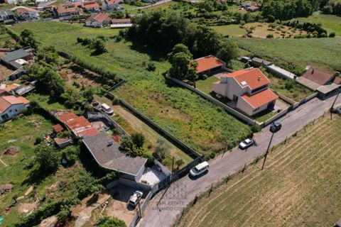 Terra a Grijo, Porto, Grijo - € 95.000 | Ref: TER_102.Mi.001 - foto 11