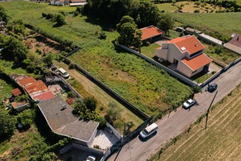 Terra a Grijo, Porto, Grijo - € 95.000 | Ref: TER_102.Mi.001 - foto 12