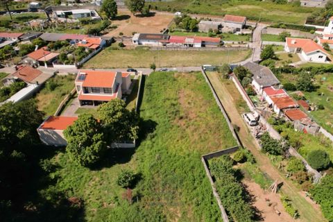 Terra a Grijo, Porto, Grijo - € 95.000 | Ref: TER_102.Mi.001 - foto 13