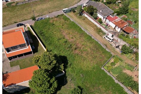 Terra a Grijo, Porto, Grijo - € 95.000 | Ref: TER_102.Mi.001 - foto 14