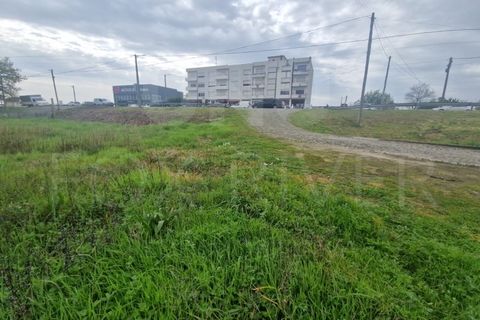 Terra a Gandra e Taiao, Viana do Castelo, Gandra e Taiao - € 320.000 | Ref: UNU-F1-11-23 - foto 2