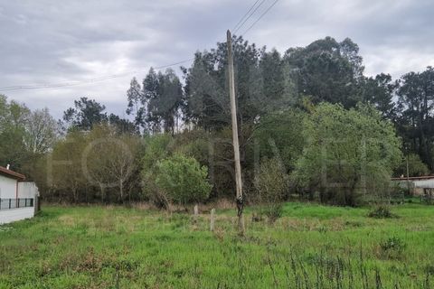 Terra a Gandra e Taiao, Viana do Castelo, Gandra e Taiao - € 320.000 | Ref: UNU-F1-11-23 - foto 4